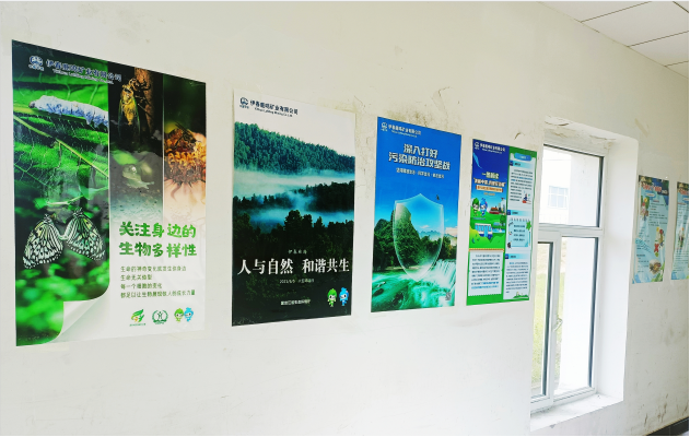 鹿鸣矿业组织开展六五环境日系列宣传活动