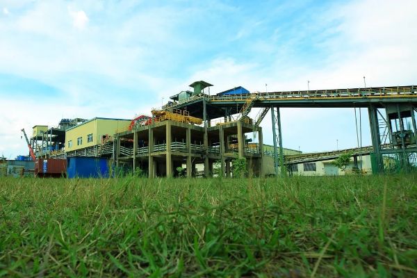 聚焦“碳中和” 唱响低碳主旋“绿”